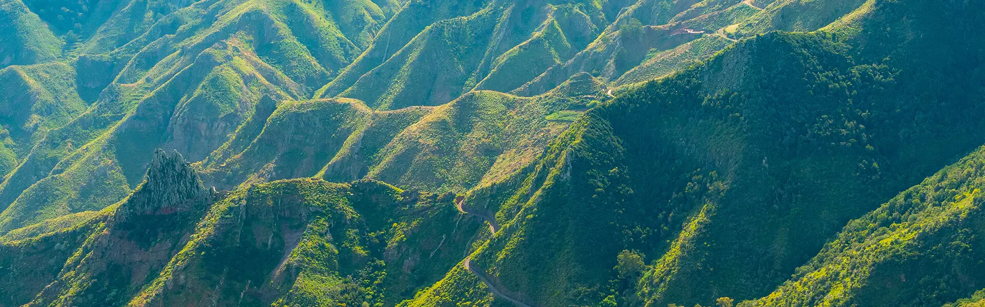 Featured image for “¡Hola, mundo! Nace Canargy para extender la energía 100% verde en Canarias al alcance de todos”